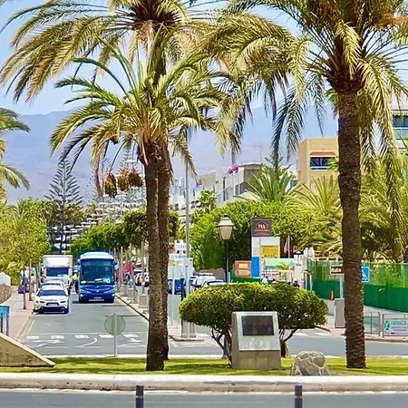 Tamaran 102 - Campos - Lux Garden Near Dunes, Quiet-central-renovated Apartment *